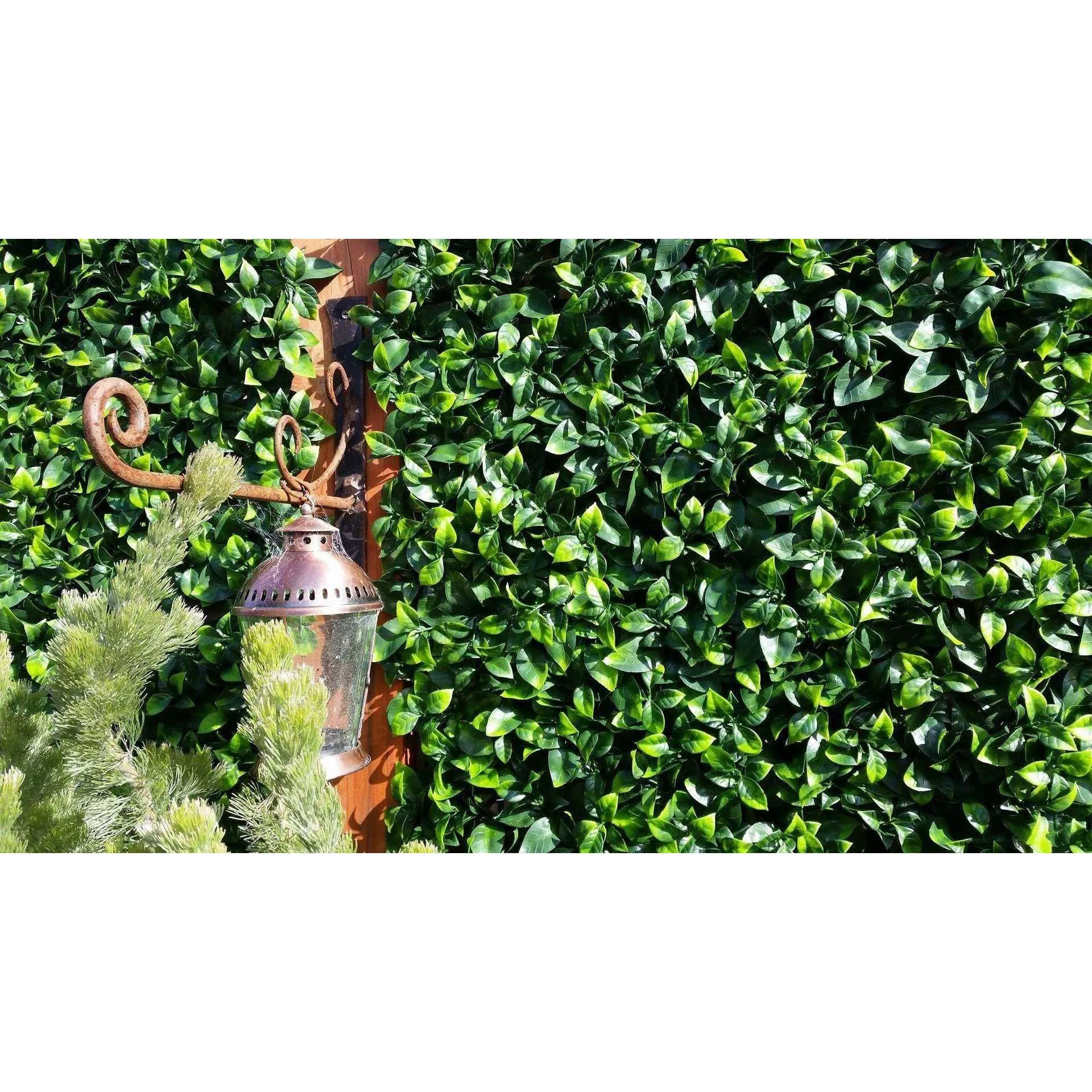 Jasmine Artificial Hedge Screen / Green Wall Panel 100cm x 100cm UV Resistant