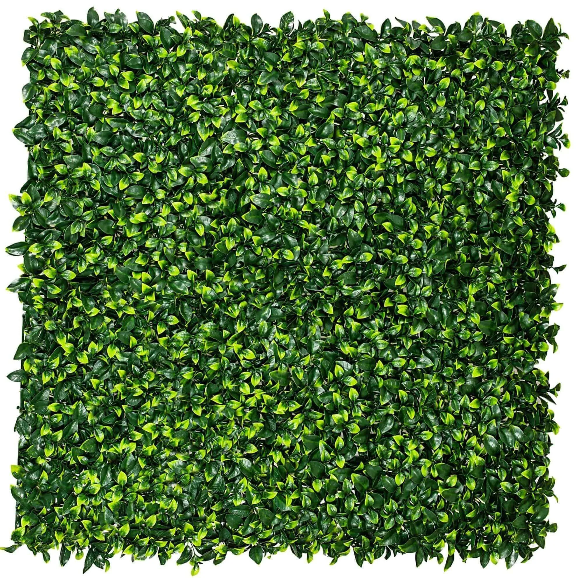 Jasmine Artificial Hedge Screen / Green Wall Panel 100cm x 100cm UV Resistant