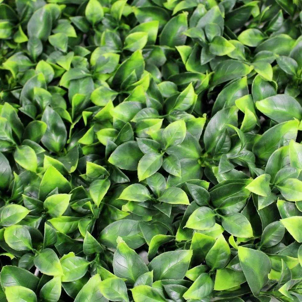 Jasmine Artificial Hedge Screen / Green Wall Panel 100cm x 100cm UV Resistant