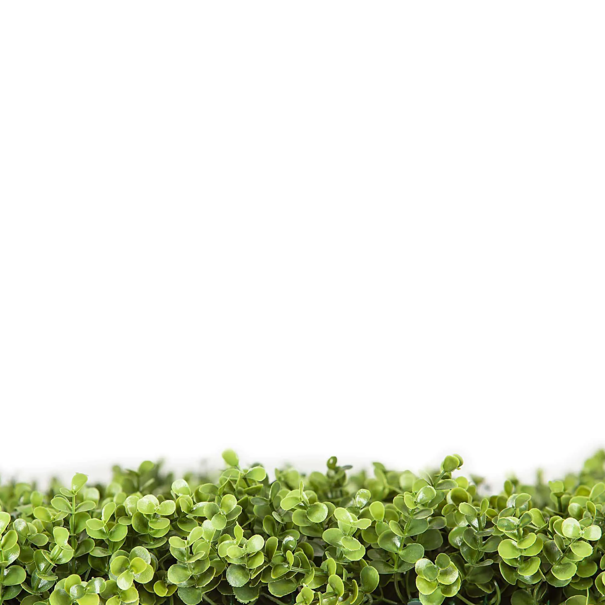 Premium Natural Buxus Artificial Hedge Panel 1m x 1m UV Resistant