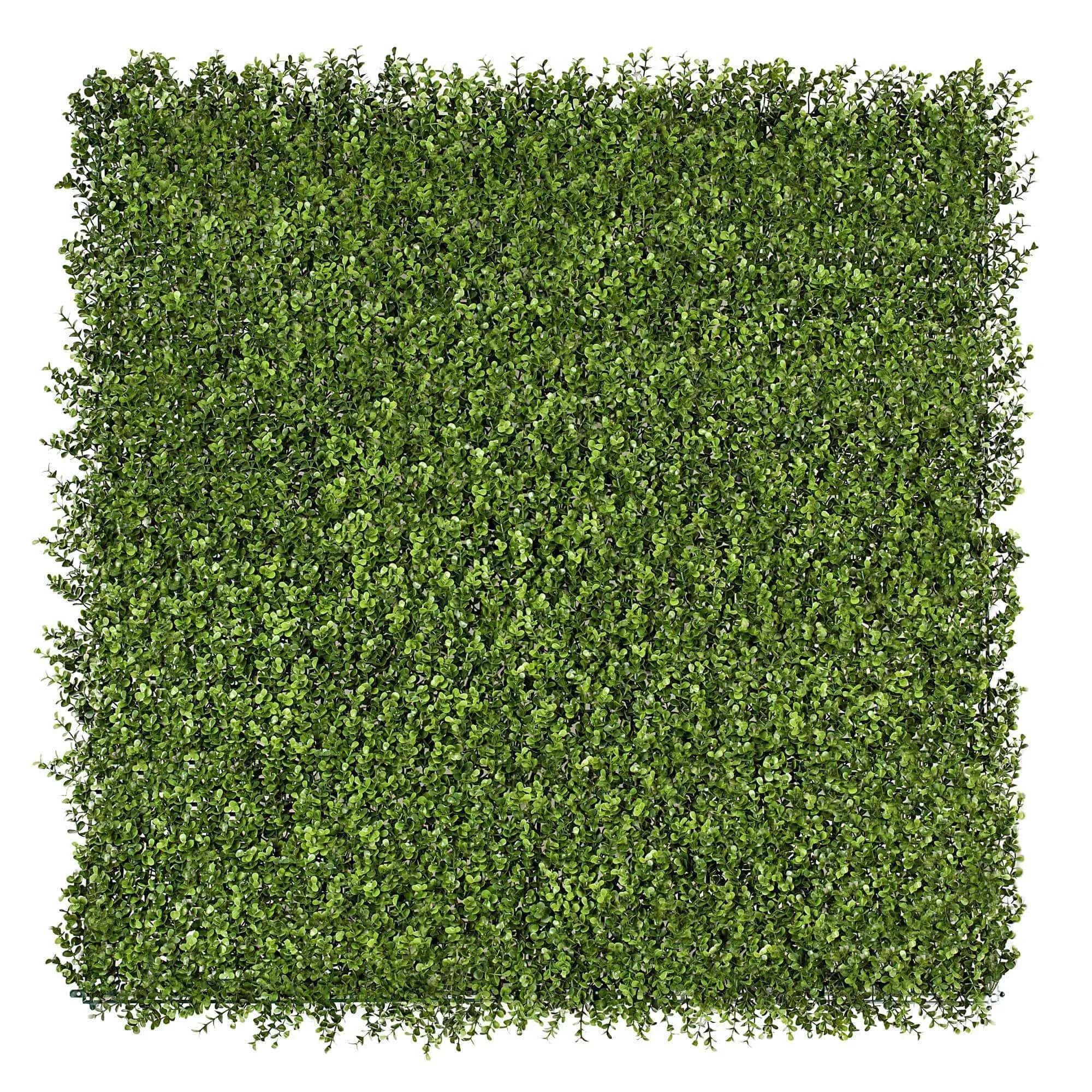 Premium Natural Buxus Artificial Hedge Panel 1m x 1m UV Resistant